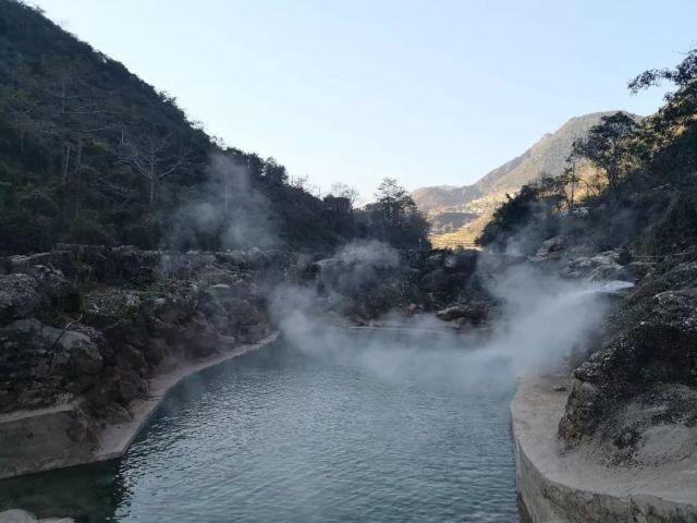 破碎的动物图形